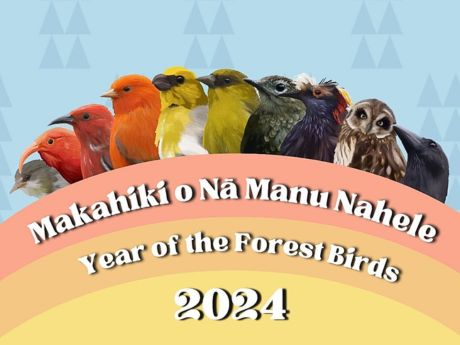 Year of the Forest Birds 2024